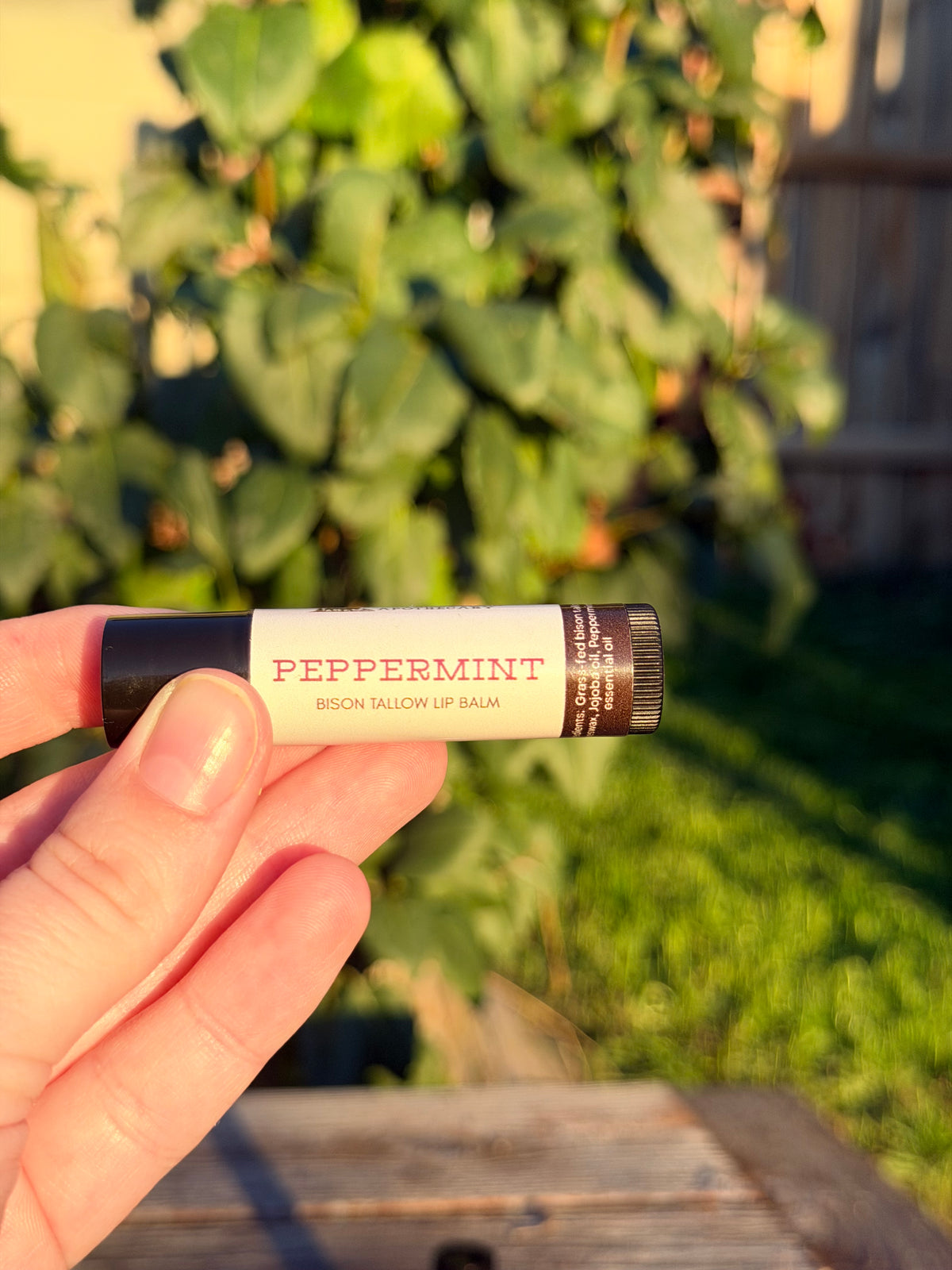 Bison Tallow Lip Balm