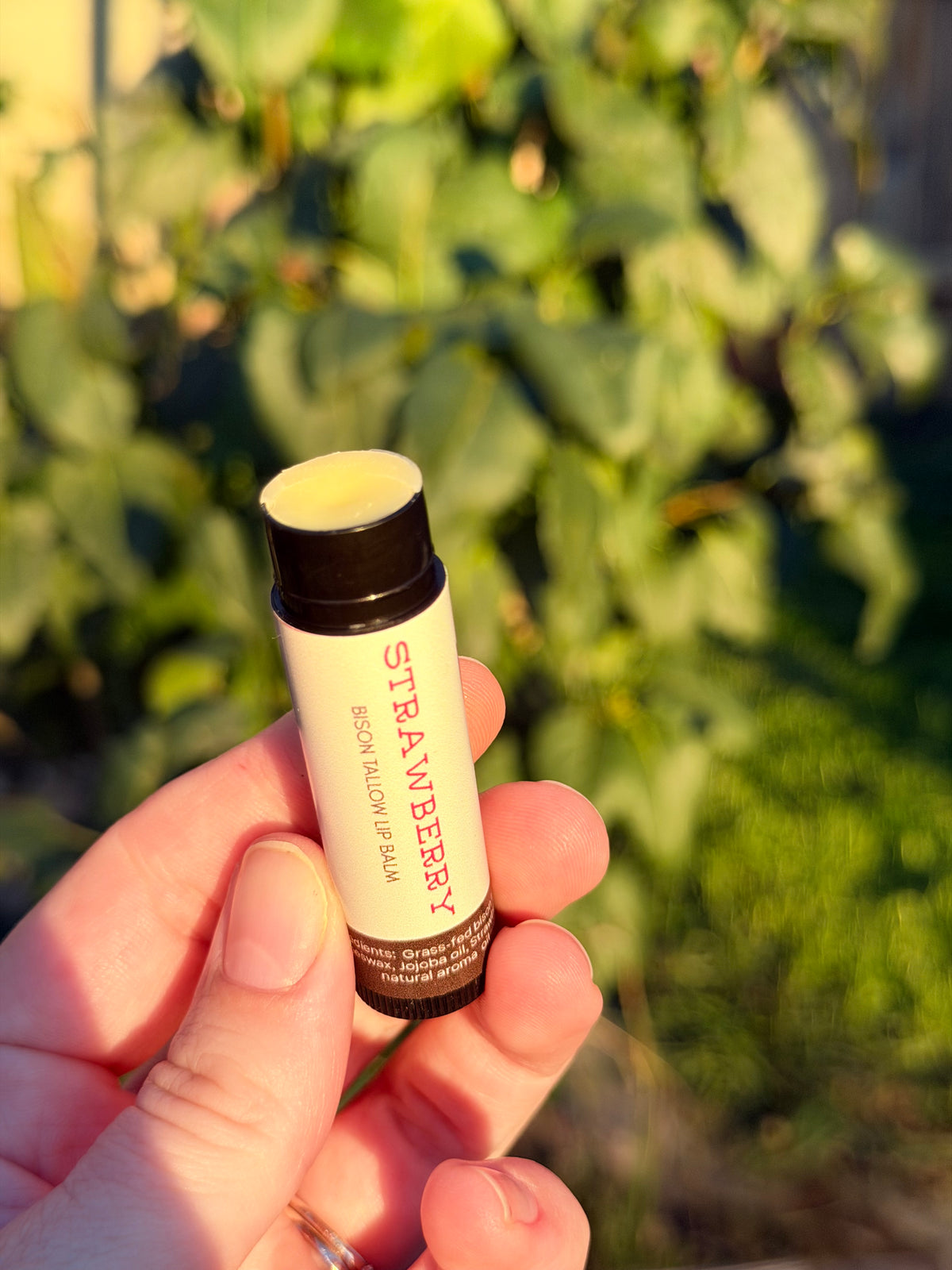 Bison Tallow Lip Balm