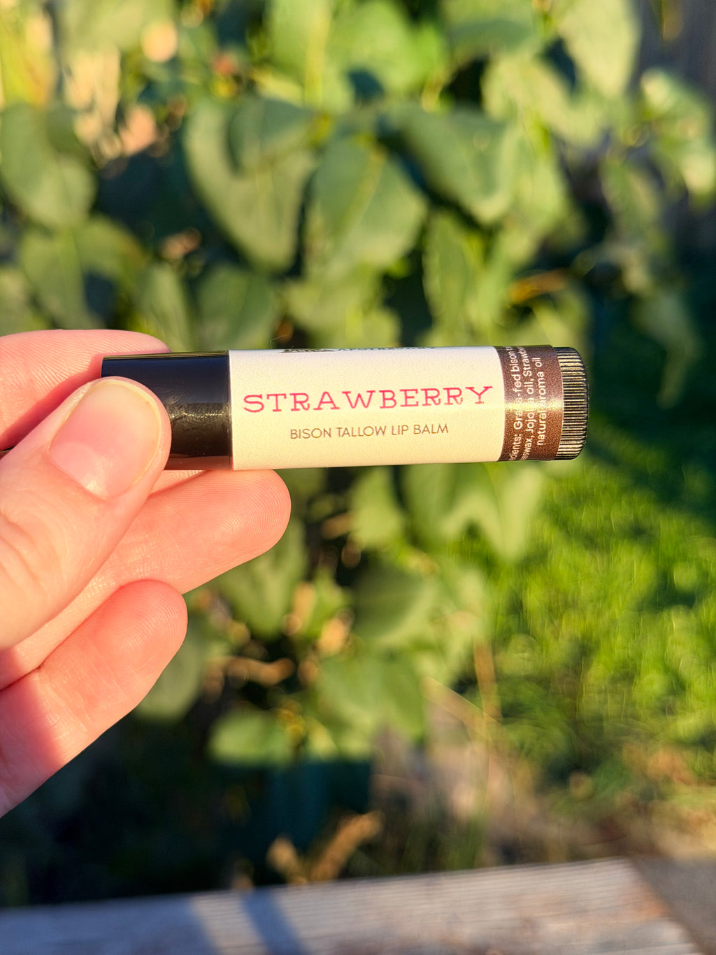 Bison Tallow Lip Balm
