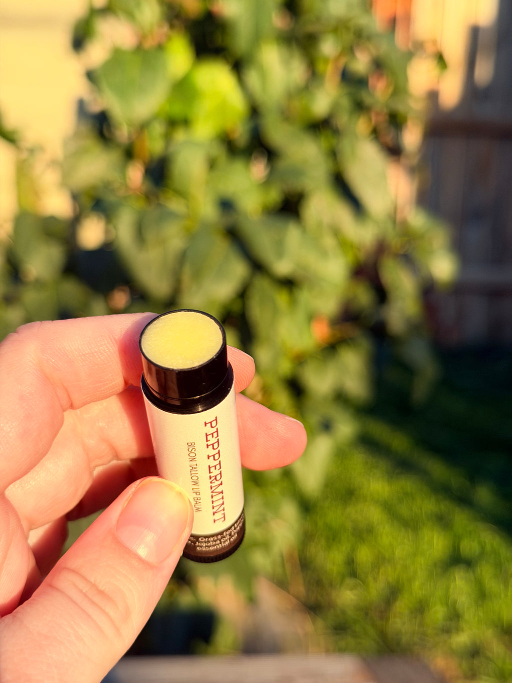 Bison Tallow Lip Balm