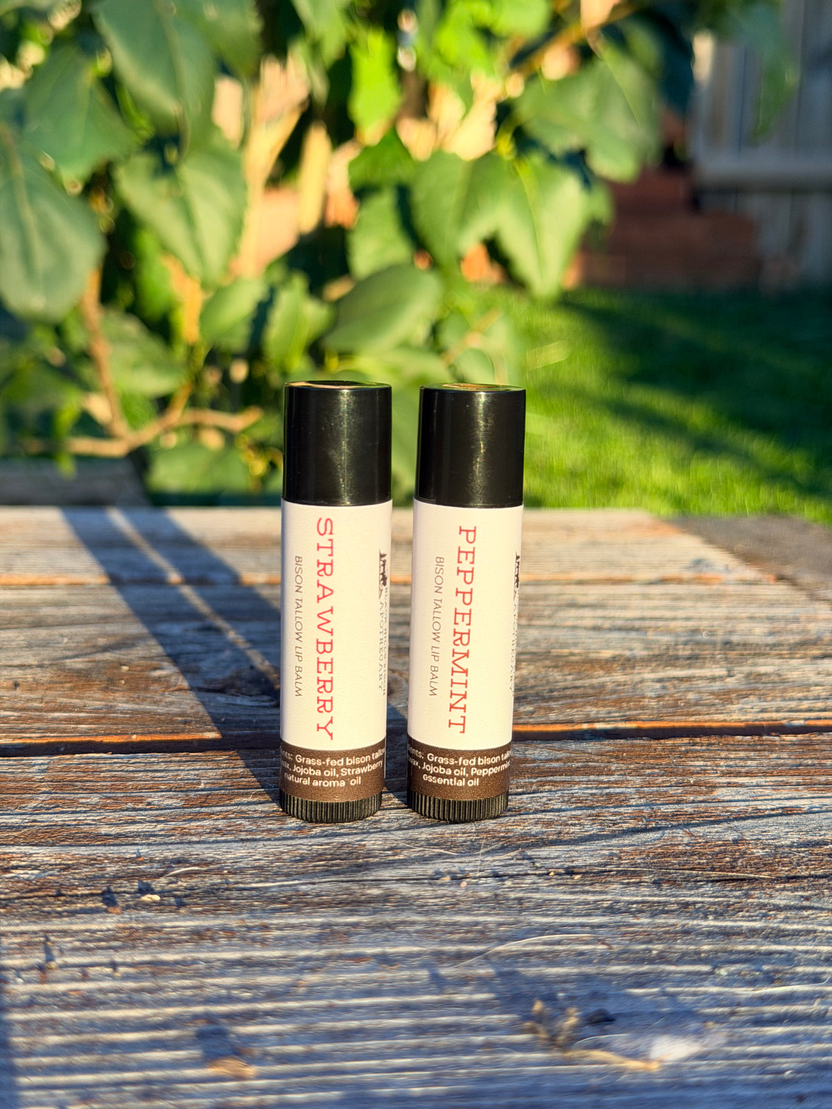 Bison Tallow Lip Balm